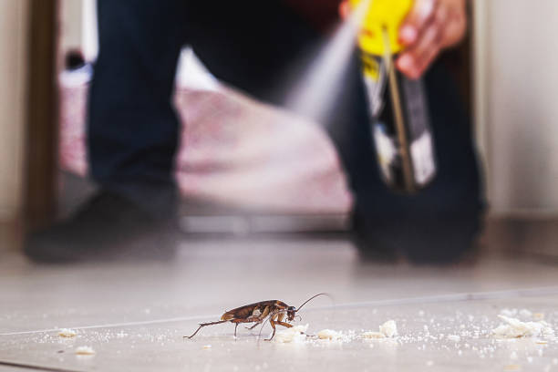 Best Pest Removal Services  in Orchards, WA