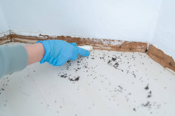 Best Cockroach Control Services  in Orchards, WA